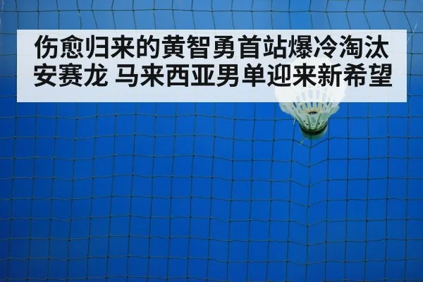 badminton training court